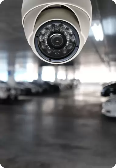 دوربین مداربسته دام